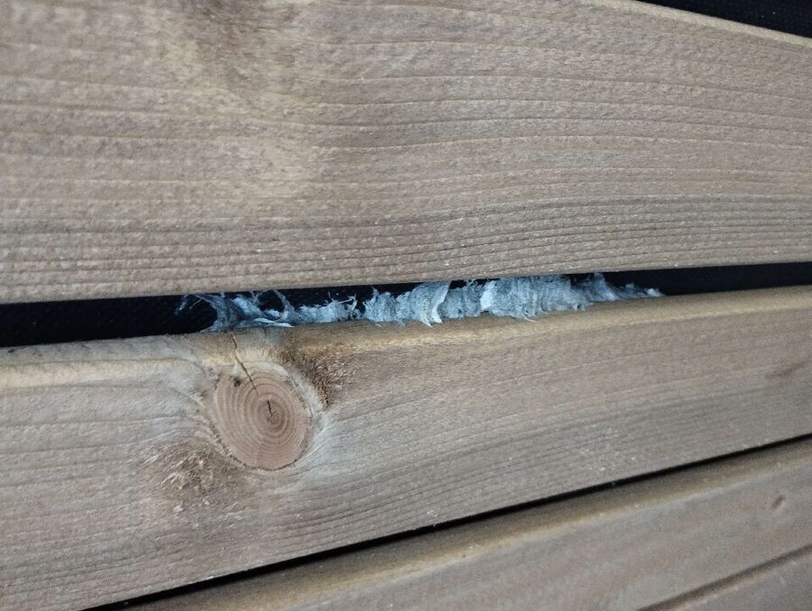 Bienen umsiedeln &  Bienennest entfernen 