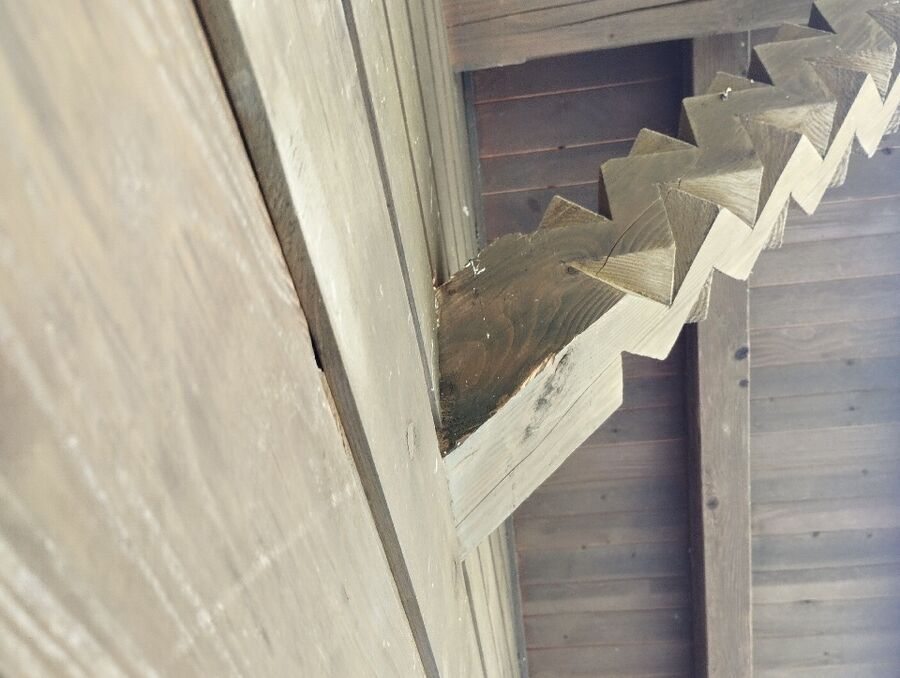  Bienennest entfernen