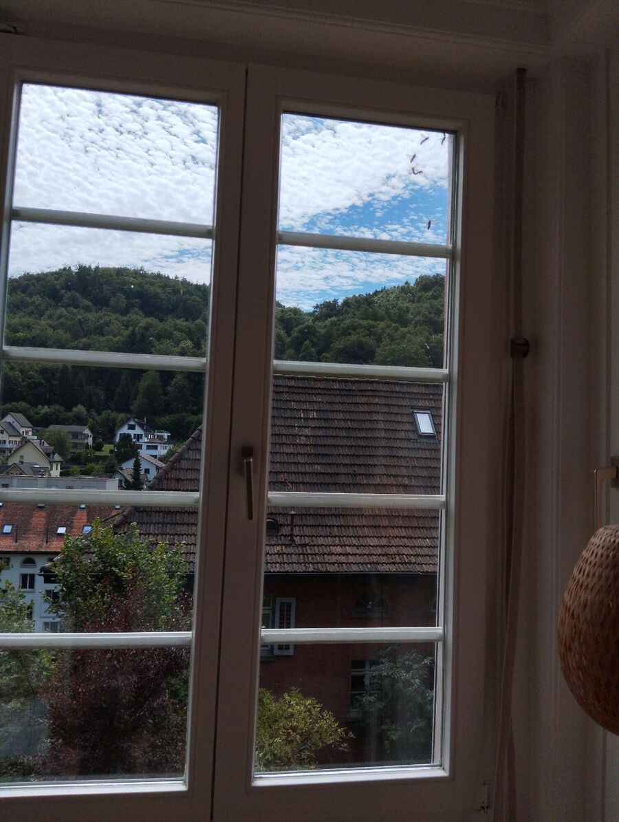  Bienennest entfernen