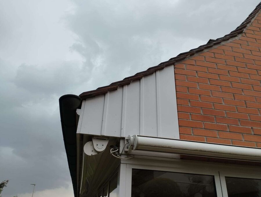  Bienennest entfernen.jpeg