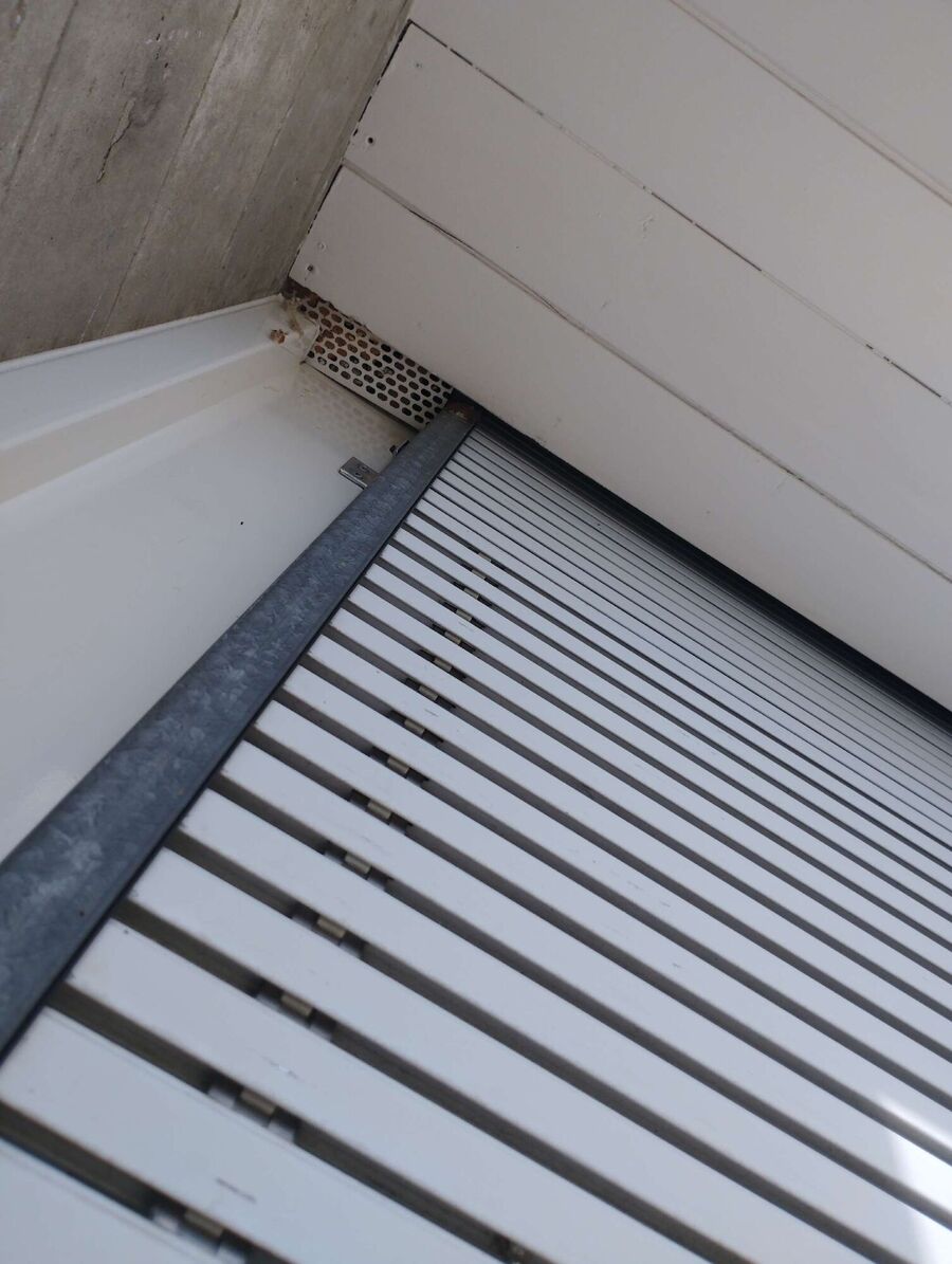 Bienen umsiedeln &  Bienennest entfernen 