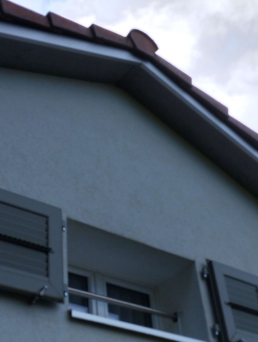 Bienen umsiedeln &  Bienennest entfernen 