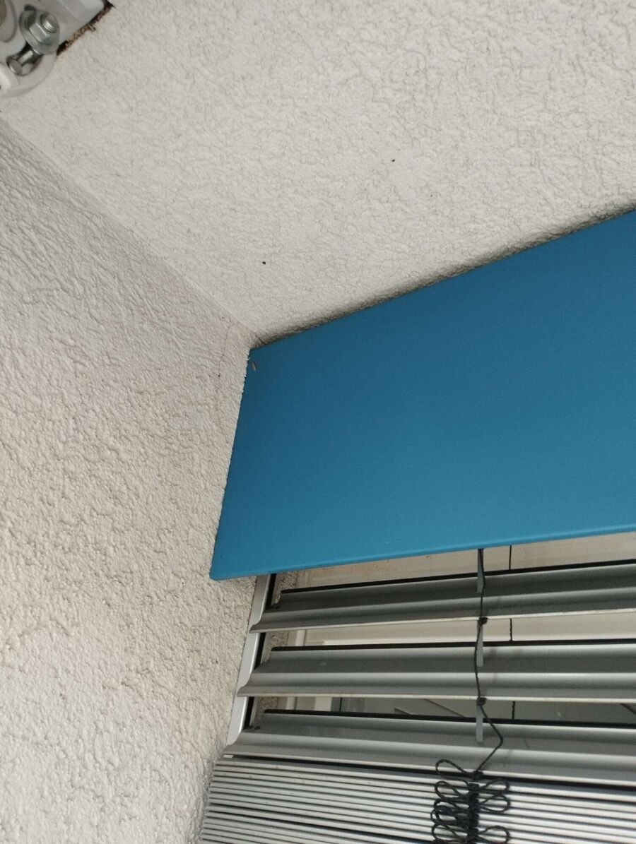  Bienennest entfernen