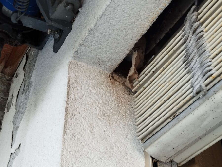 Bienen umsiedeln &  Bienennest entfernen 