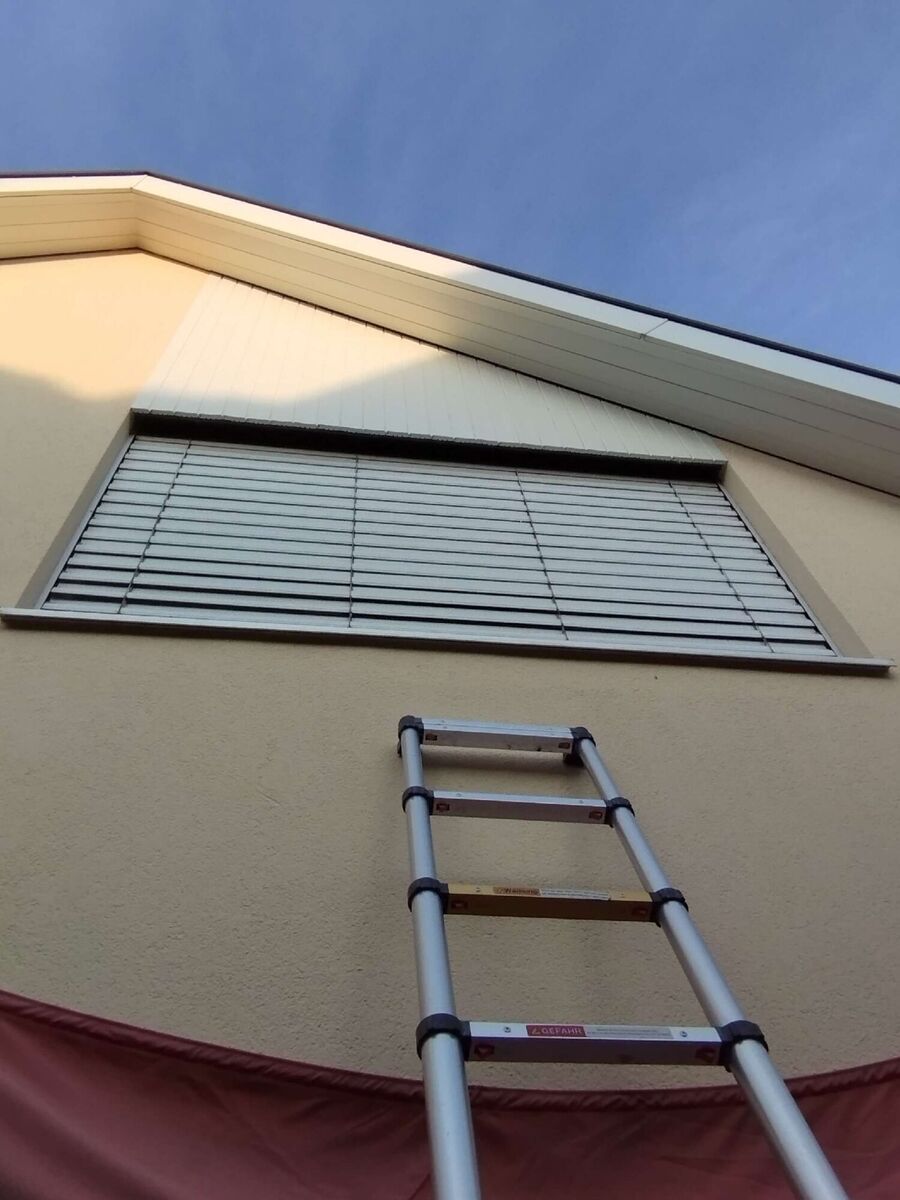  Bienennest entfernen