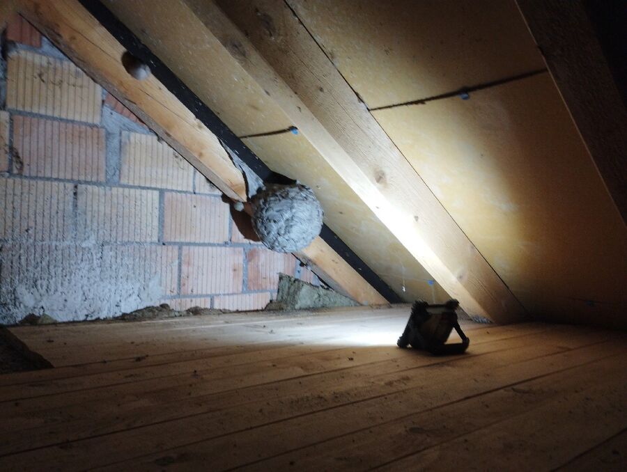 bienennest-am-haus-entfernen.jpg