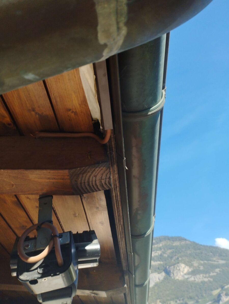  Bienennest entfernen.jpeg