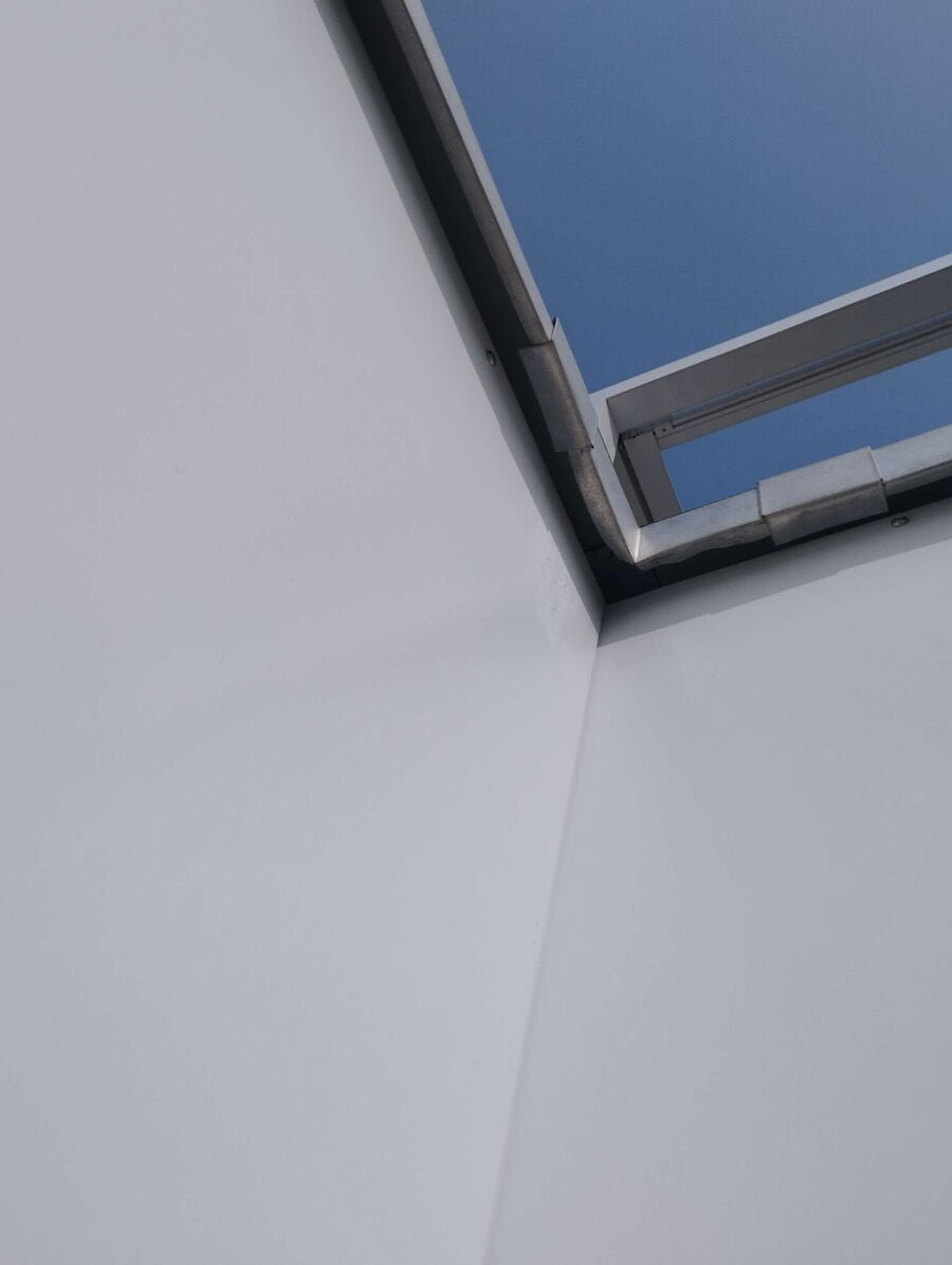 Bienen umsiedeln &  Bienennest entfernen 