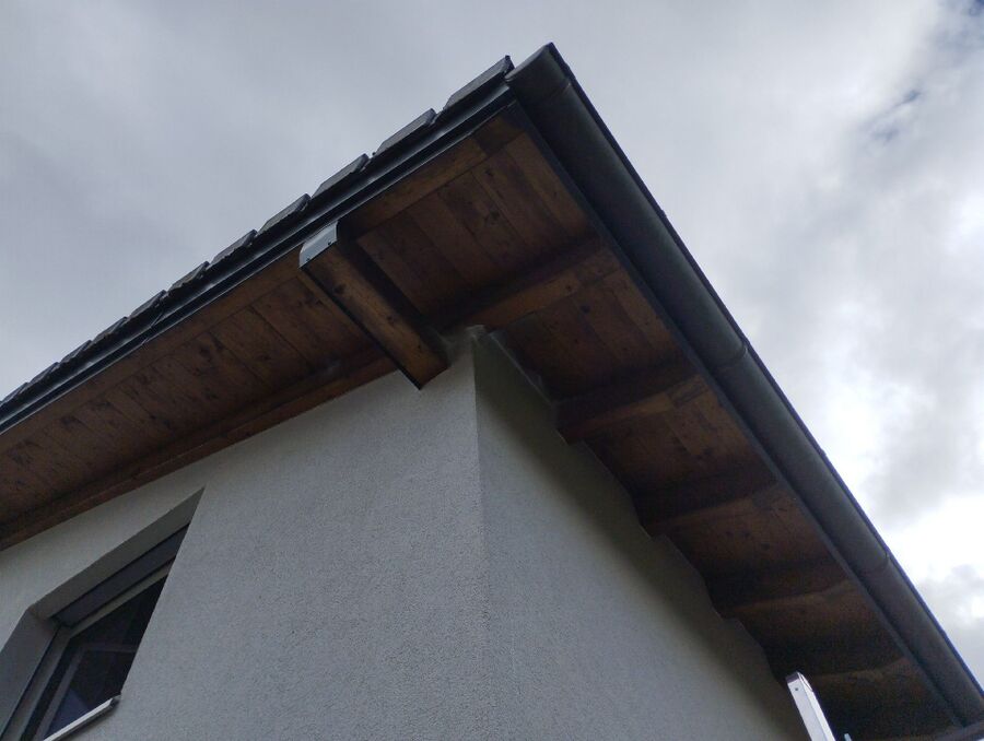  Bienennest entfernen.jpeg