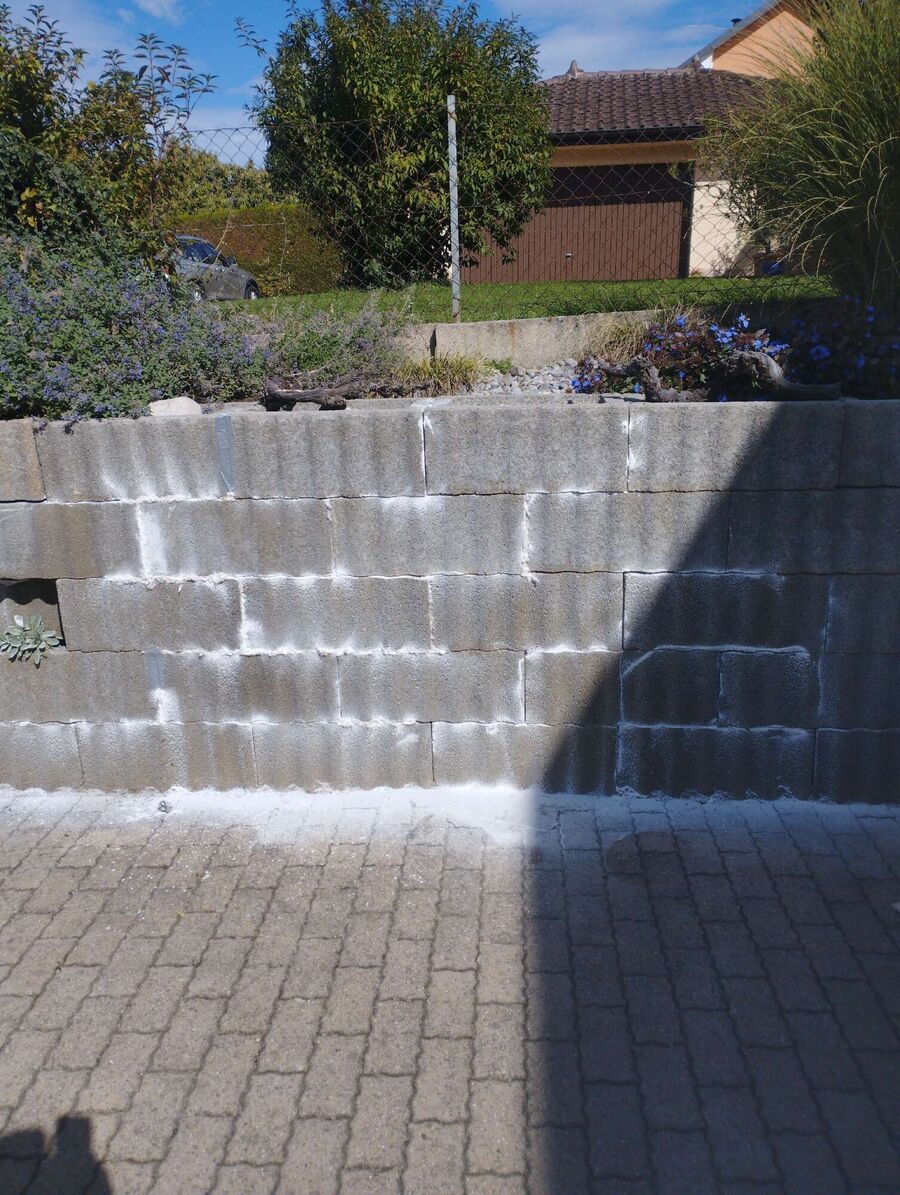  Bienennest entfernen