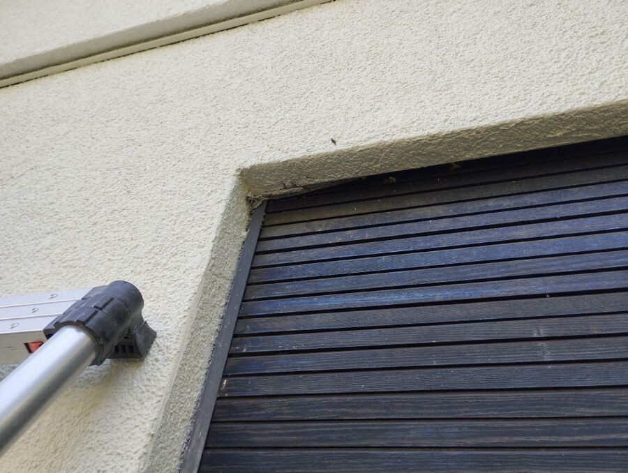  Bienennest entfernen