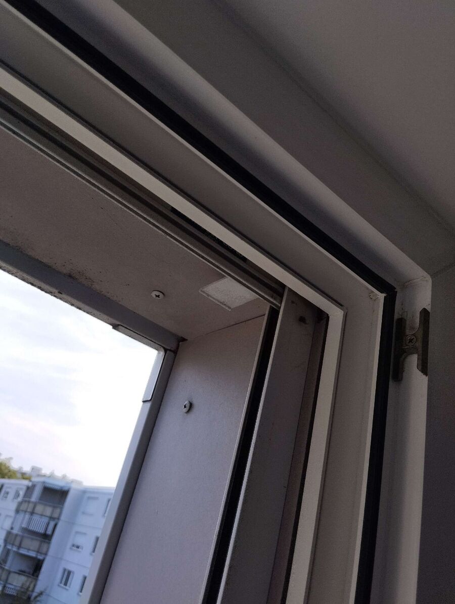  Bienennest entfernen.jpeg