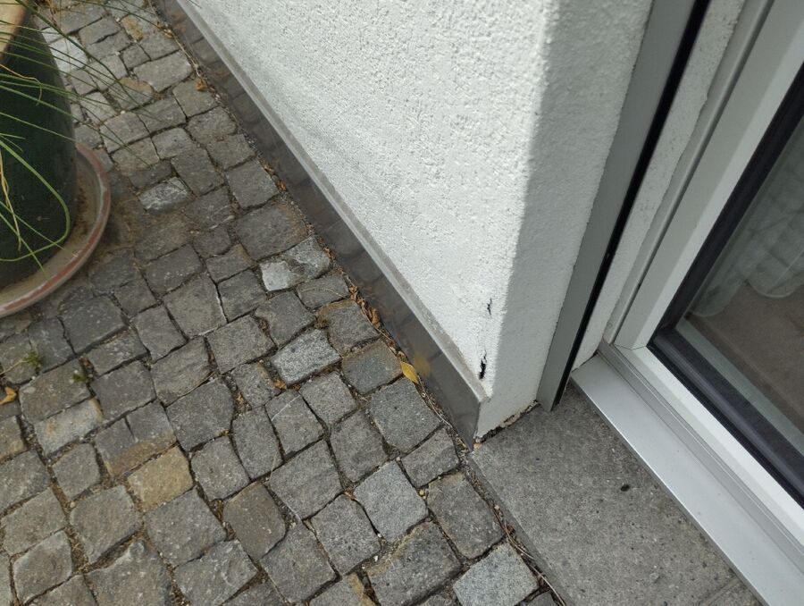  Bienennest entfernen