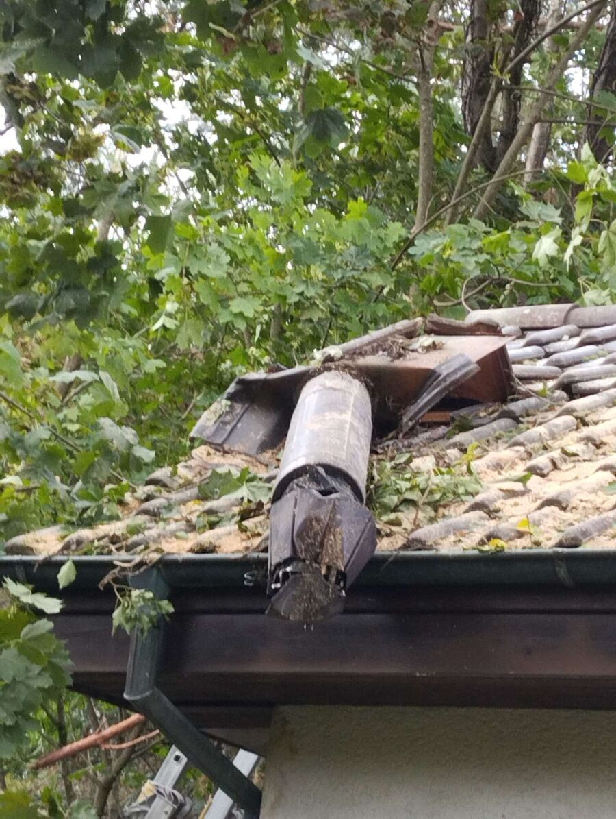  Bienennest entfernen.jpeg