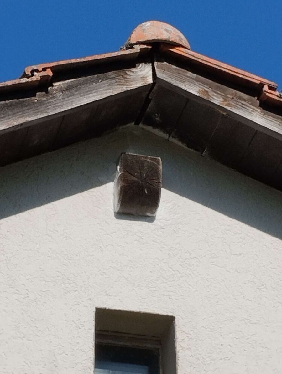  Bienennest entfernen.jpeg