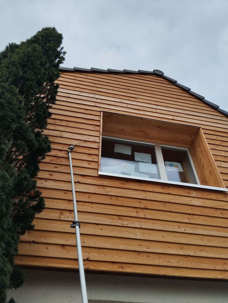  Bienennest entfernen.jpeg