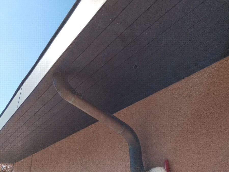  Bienennest entfernen.jpeg