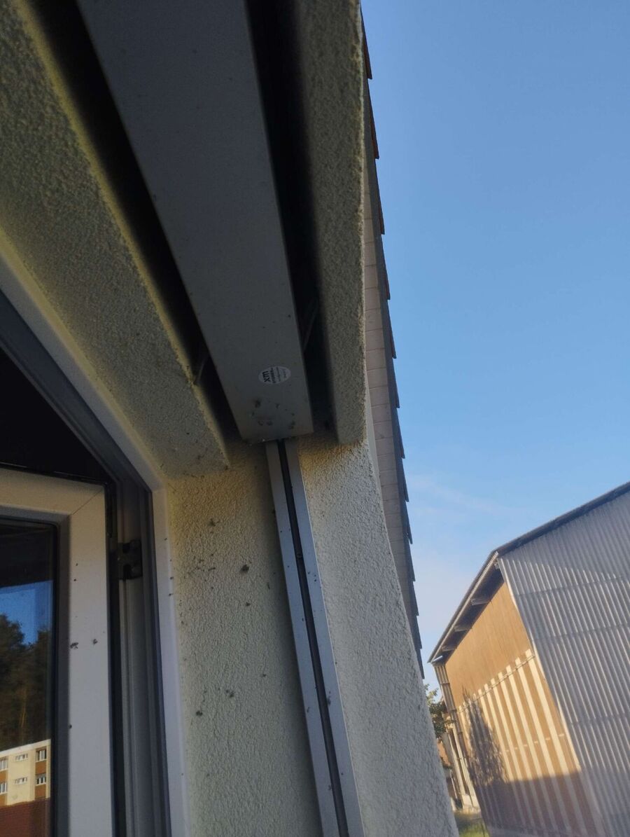  Bienennest entfernen