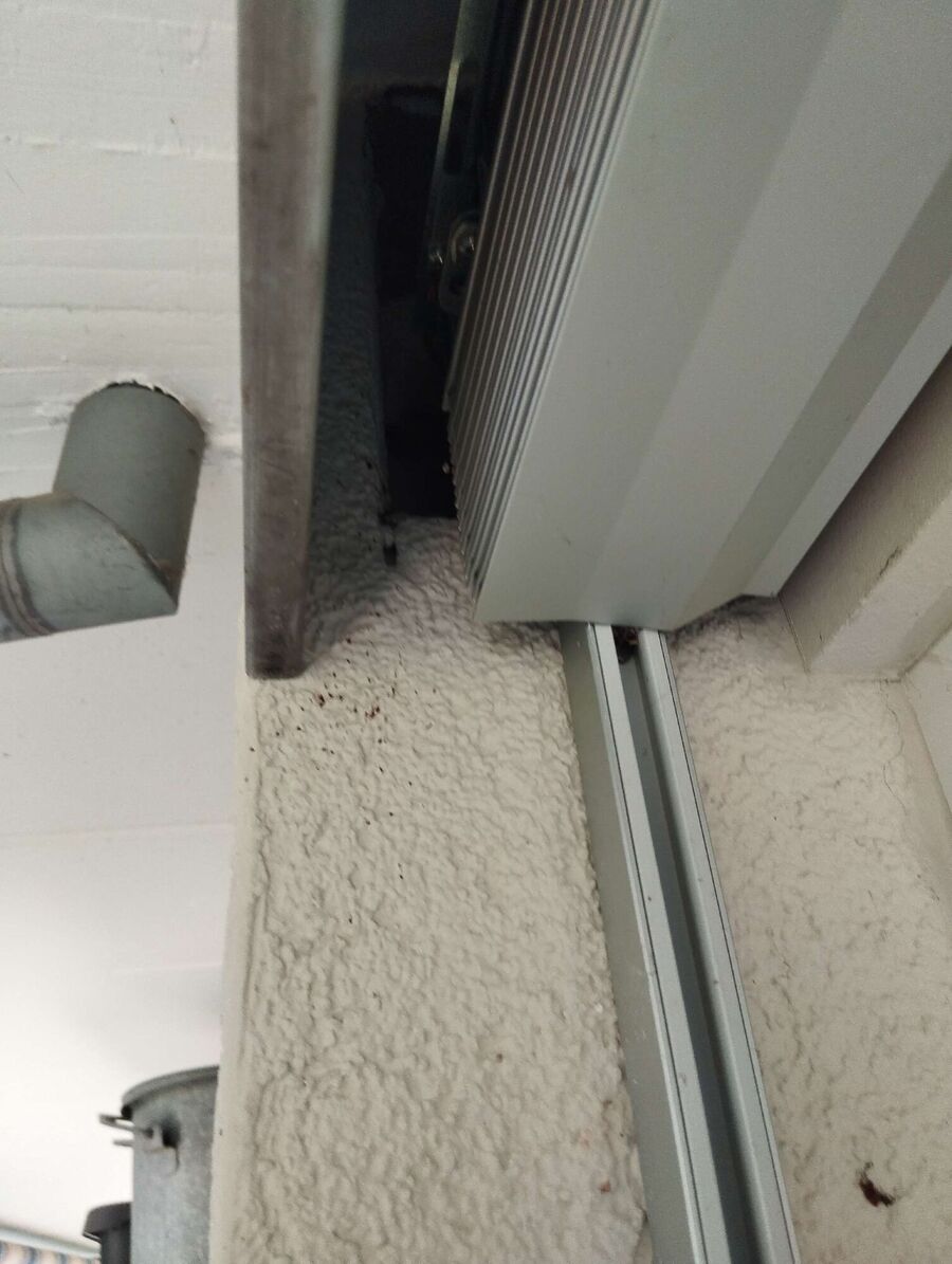  Bienennest entfernen