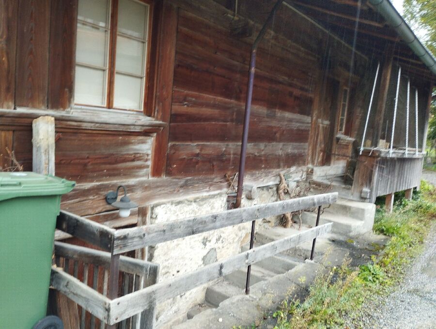  Bienennest entfernen.jpeg