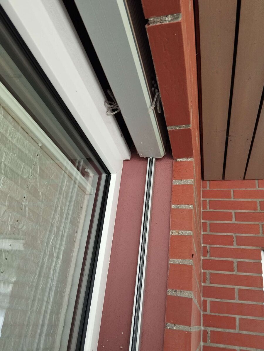  Bienennest entfernen.jpeg