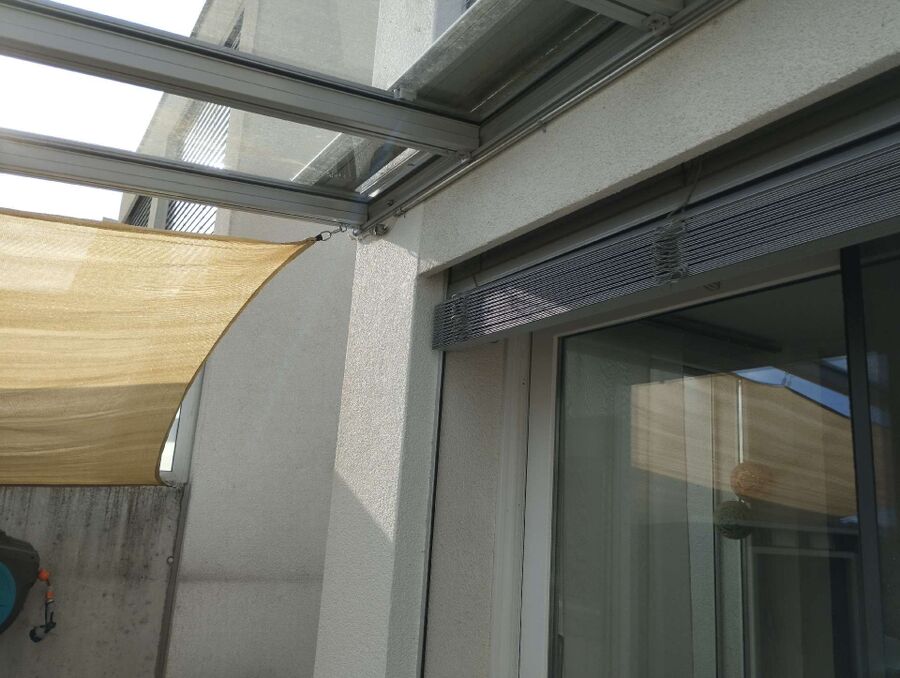 Bienen umsiedeln &  Bienennest entfernen 