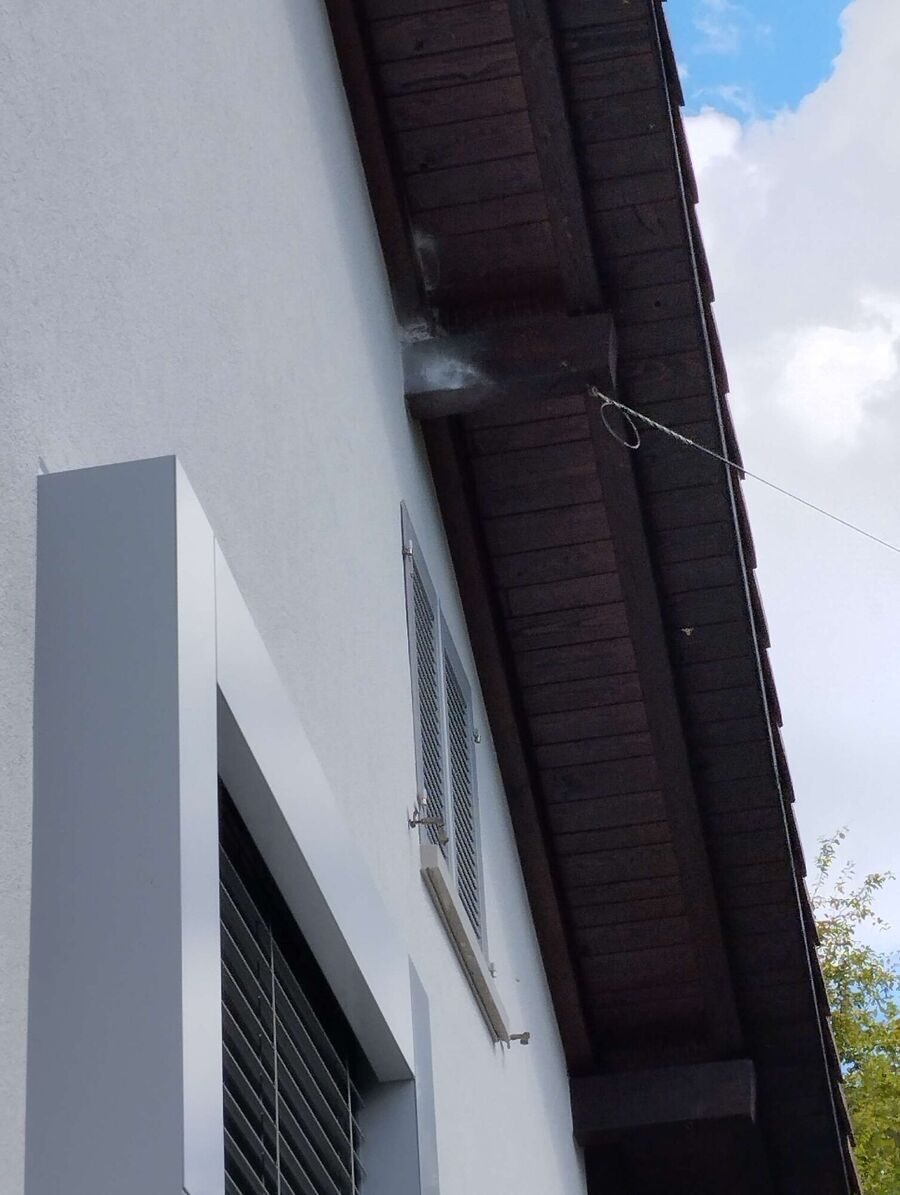 bienennest-am-haus-entfernen.jpg