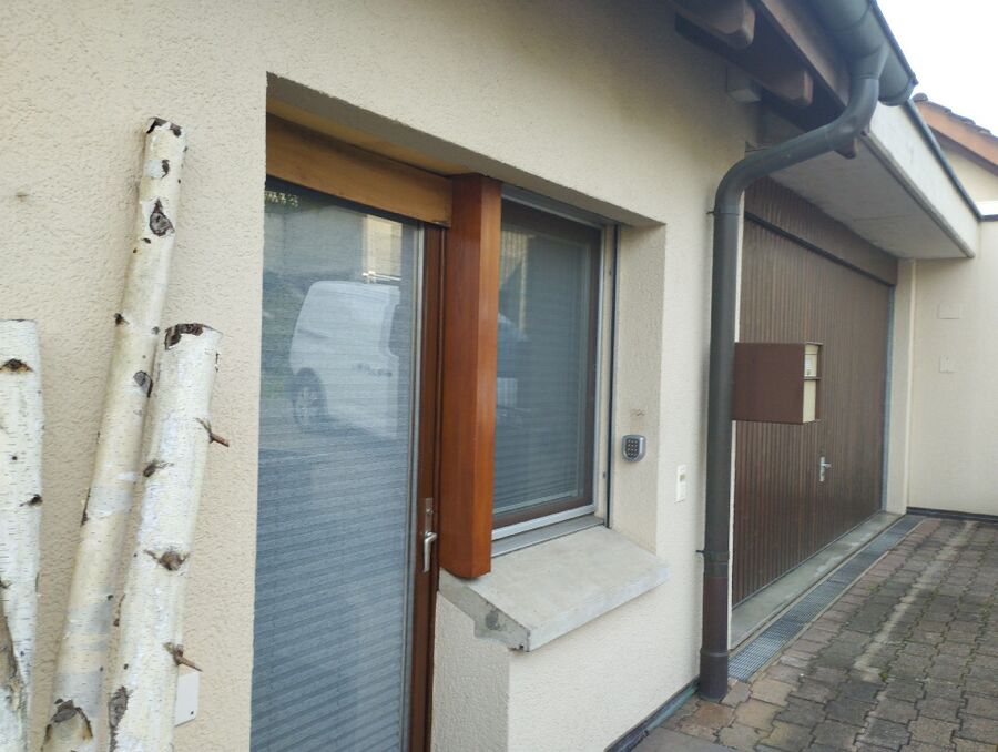 Bienen umsiedeln &  Bienennest entfernen 