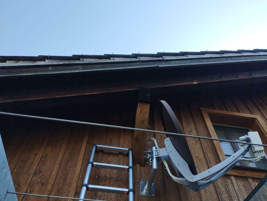 Bienen umsiedeln &  Bienennest entfernen 