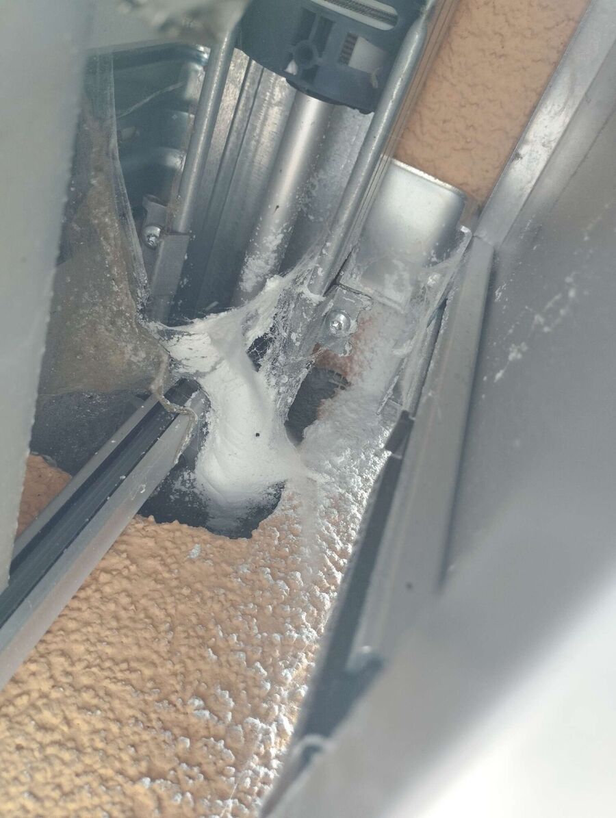  Bienennest entfernen.jpeg