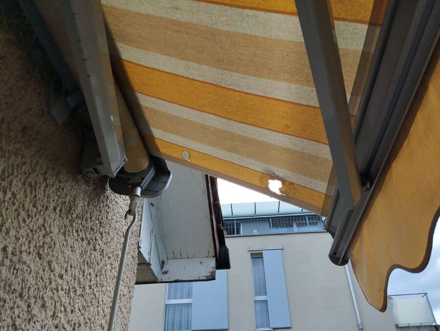  Bienennest entfernen