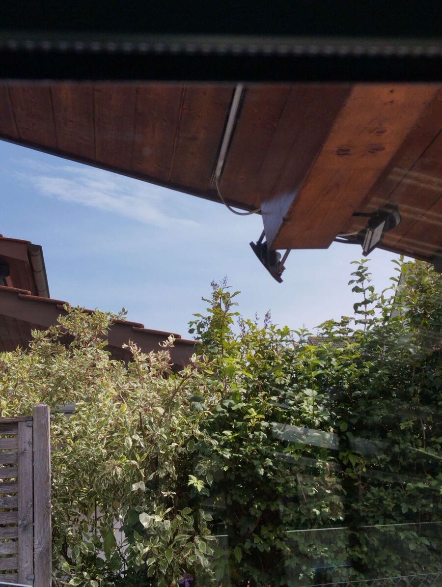  Bienennest entfernen