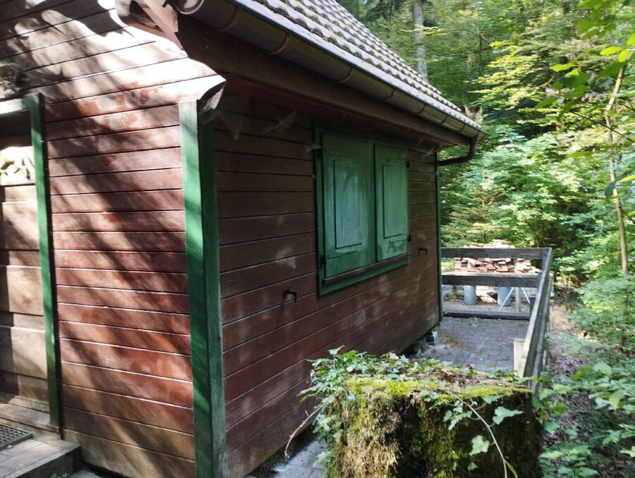  Bienennest entfernen.jpeg