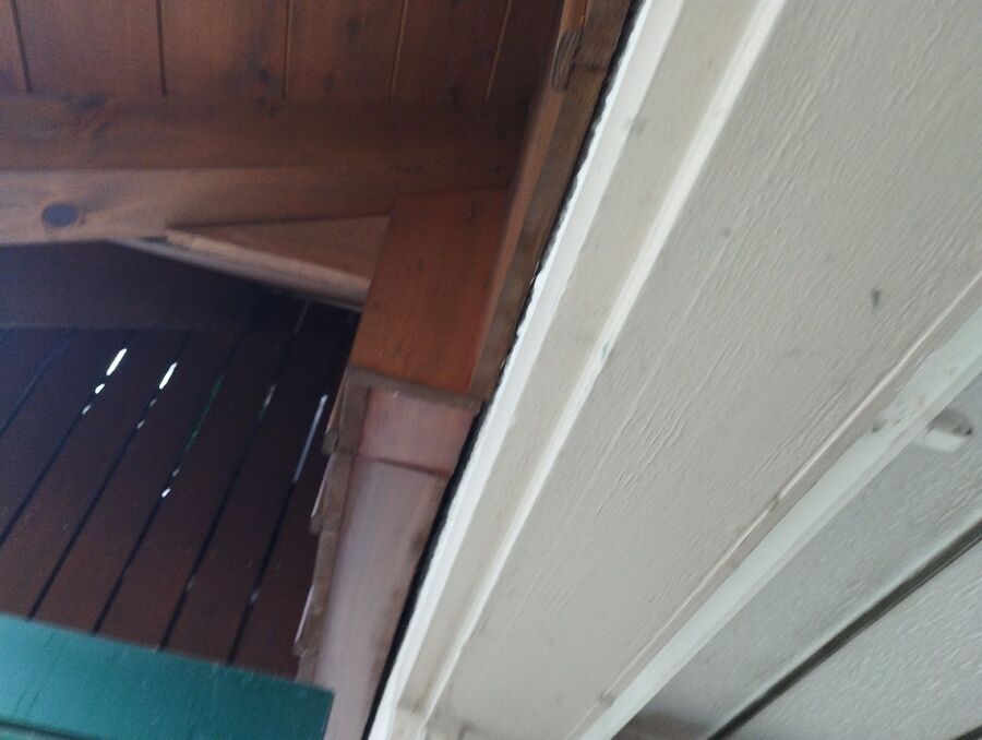  Bienennest entfernen