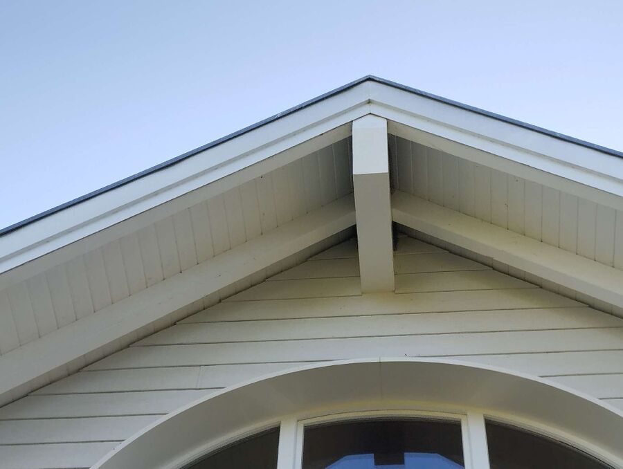  Bienennest entfernen