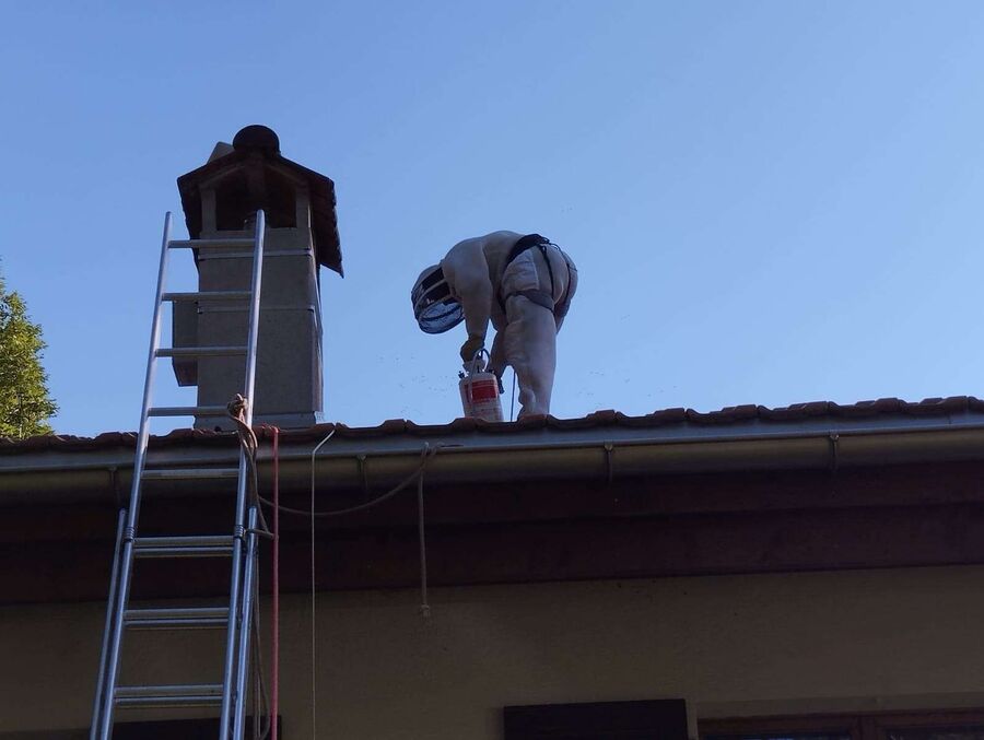 Bienen umsiedeln &  Bienennest entfernen 