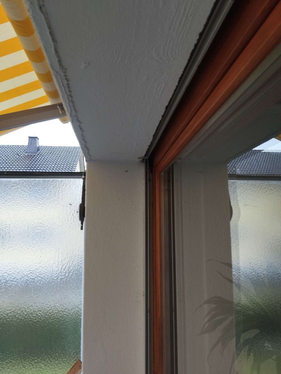  Bienennest entfernen