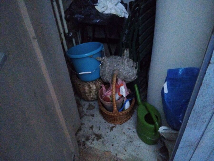  Bienennest entfernen.jpeg