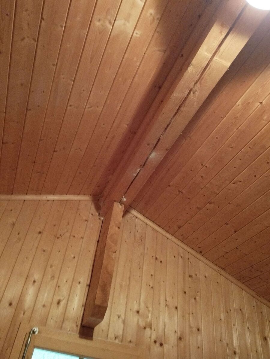  Bienennest entfernen.jpeg