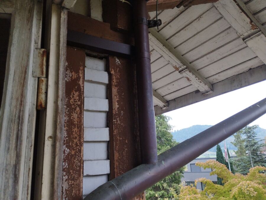  Bienennest entfernen