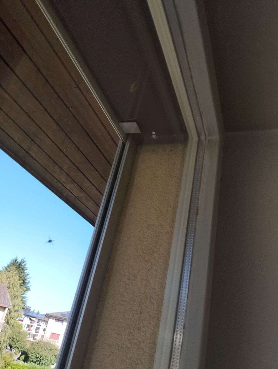  Bienennest entfernen