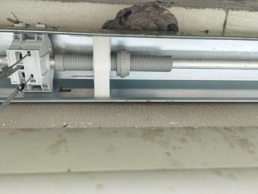  Bienennest entfernen