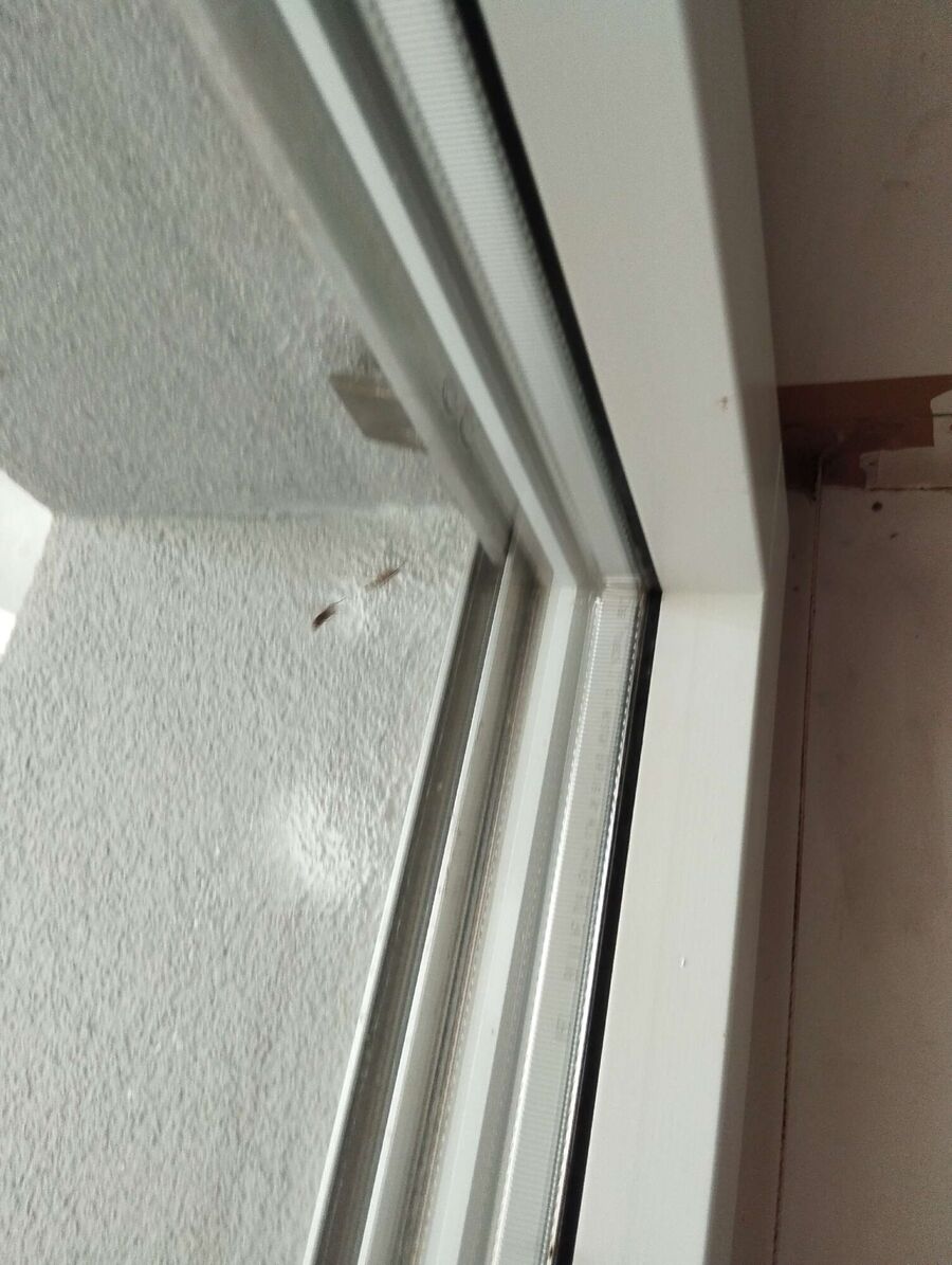  Bienennest entfernen