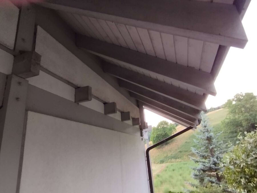 Bienen umsiedeln &  Bienennest entfernen 