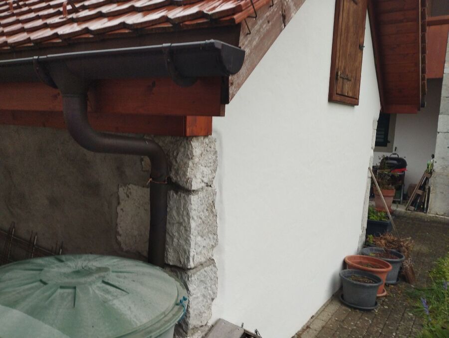  Bienennest entfernen.jpeg