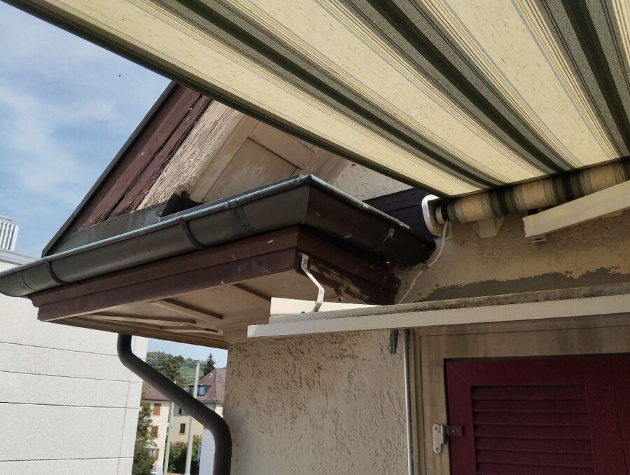  Bienennest entfernen