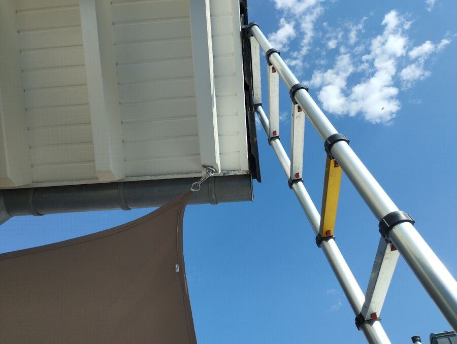  Bienennest entfernen