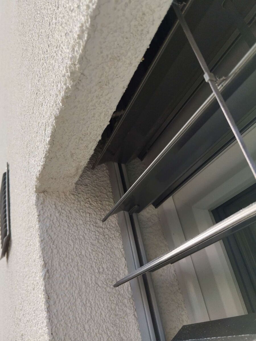 Bienen umsiedeln &  Bienennest entfernen 