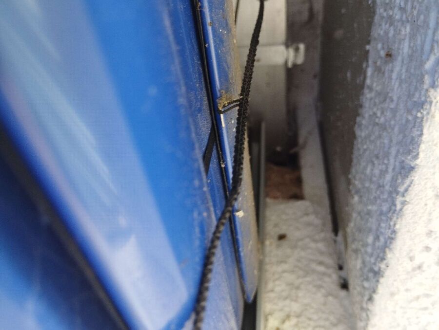  Bienennest entfernen