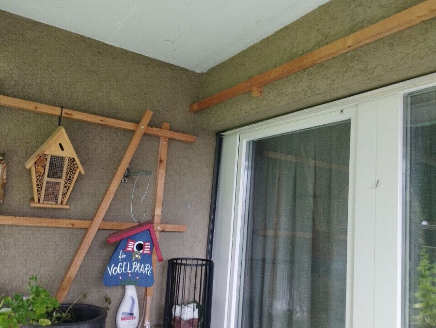  Bienennest entfernen.jpeg